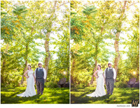 Basic Edit vs Signature Edit