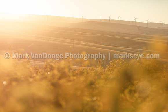 2024_MarkVanDonge_CF_0001