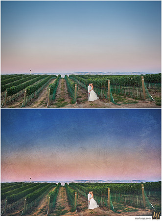 Basic Edit vs Signature Edit