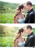 Basic Edit vs Signature Edit