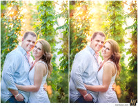 Basic Edit vs Signature Edit