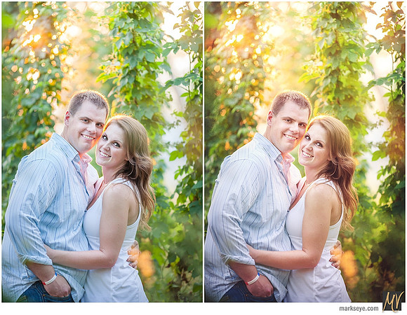 Basic Edit vs Signature Edit