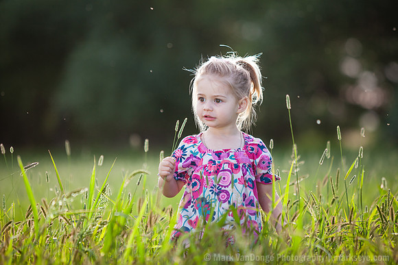 2014_M_Bowe_0011