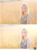 Digital Negative vs Signature Edit