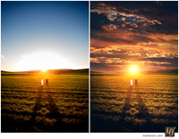 Basic Edit vs Signature Edit