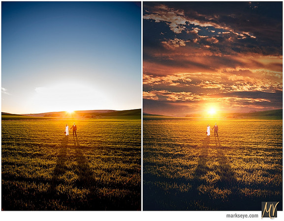 Basic Edit vs Signature Edit