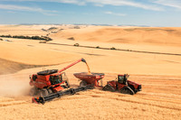 2025_VisitWW_03_Ag_WheatHarvest_0007