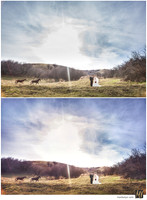 Basic Edit vs Signature Edit