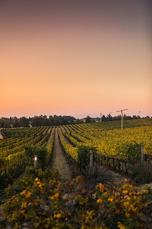 2018_Leonetti_Loess_V2_0020