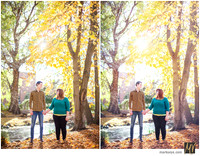 Basic Edit vs Signature Edit