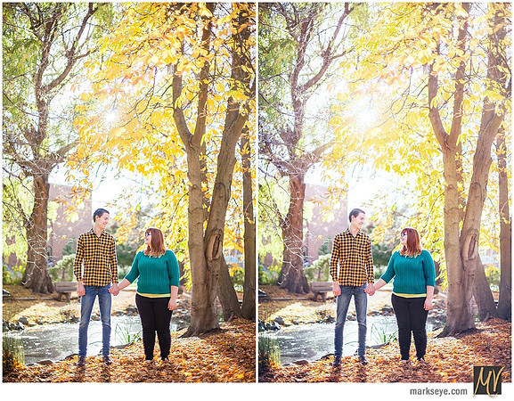Basic Edit vs Signature Edit
