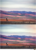 Basic Edit vs Signature Edit