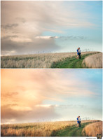 Basic Edit vs Signature Edit