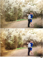 Basic Edit vs Signature Edit