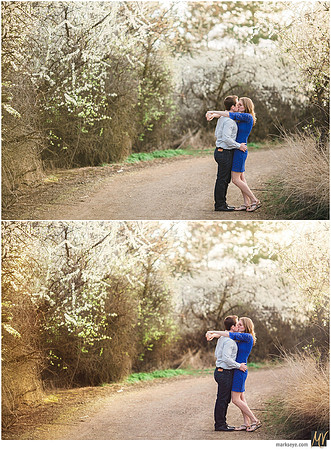 Basic Edit vs Signature Edit