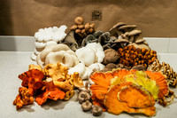 2025_VisitWW_04_Ag_ChesedMushrooms_0009