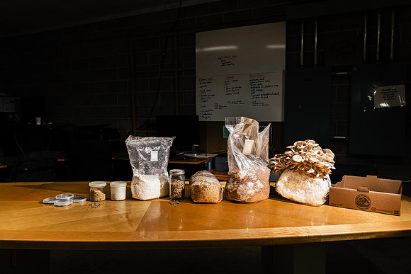 2025_VisitWW_04_Ag_ChesedMushrooms_0011