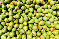 2025_VisitWW_04_Ag_WarrenPears_0001