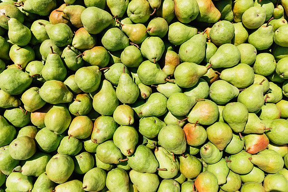 2025_VisitWW_04_Ag_WarrenPears_0001