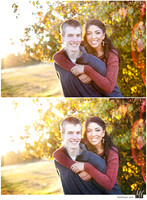 Basic Edit vs Signature Edit