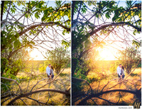 Basic Edit vs Signature Edit