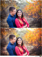 Basic Edit vs Signature Edit
