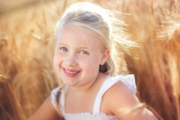 2012_Perkins_0006