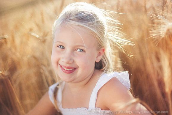 2012_Perkins_0006