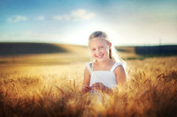 2012_Perkins_0008