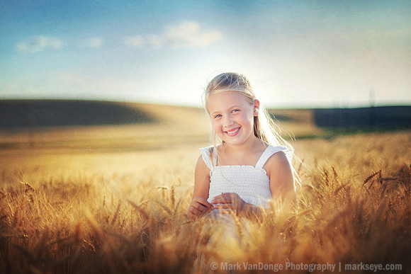 2012_Perkins_0008