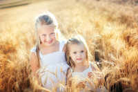 2012_Perkins_0010