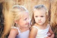 2012_Perkins_0012