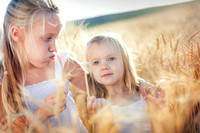 2012_Perkins_0011