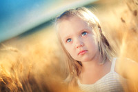 2012_Perkins_0014