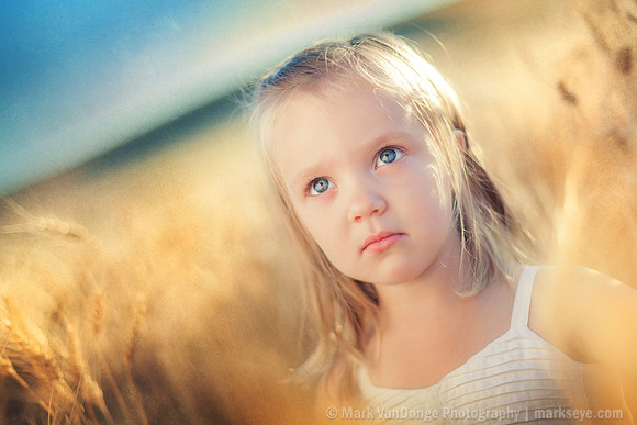 2012_Perkins_0014