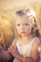 2012_Perkins_0015