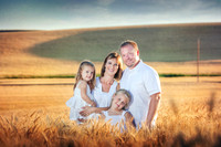 2012_Perkins_0018