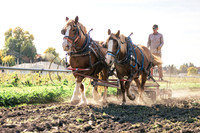 2025_VisitWW_05_Ag_HayshakerFarm_0013