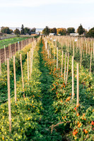 2025_VisitWW_05_Ag_HayshakerFarm_0006