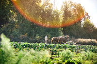 2025_VisitWW_05_Ag_HayshakerFarm_0007