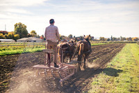2025_VisitWW_05_Ag_HayshakerFarm_0011
