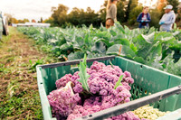 2025_VisitWW_05_Ag_HayshakerFarm_0001