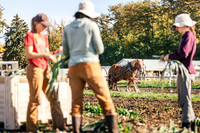 2025_VisitWW_05_Ag_HayshakerFarm_0014