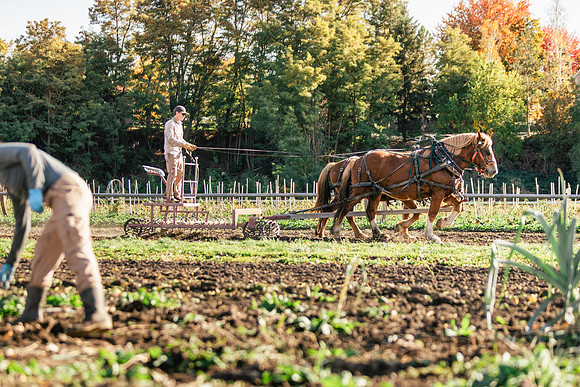 2025_VisitWW_05_Ag_HayshakerFarm_0016