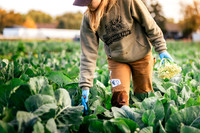 2025_VisitWW_05_Ag_HayshakerFarm_0003
