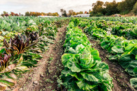 2025_VisitWW_05_Ag_HayshakerFarm_0002