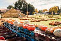 2025_VisitWW_05_Ag_KlickersPumpkins_0002