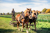 2025_VisitWW_05_Ag_HayshakerFarm_0008