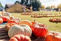 2025_VisitWW_05_Ag_KlickersPumpkins_0003
