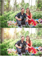 Basic Edit vs Signature Edit